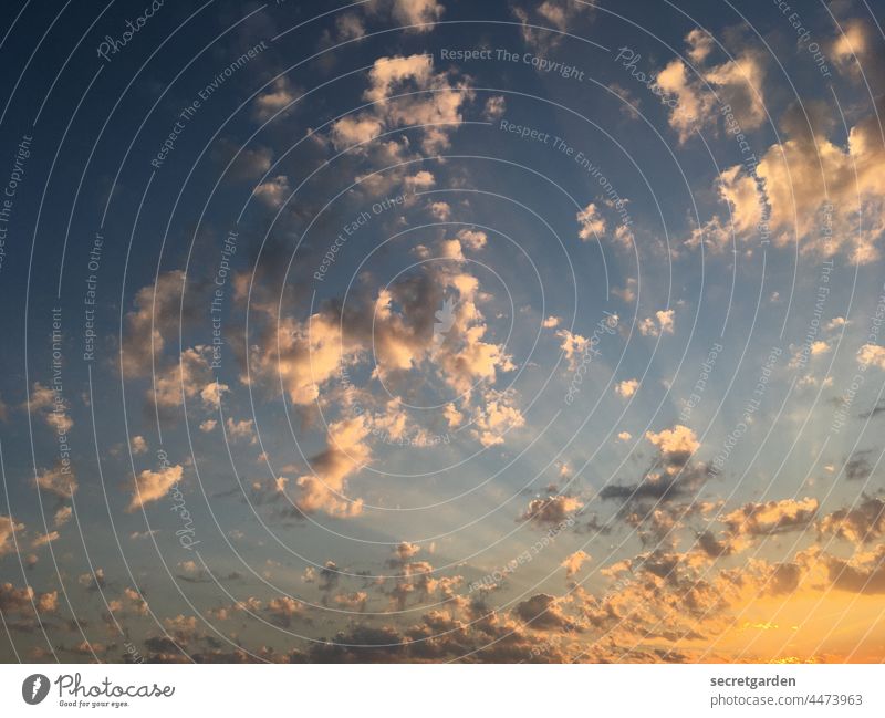 [Teufelsmoor 2021] skyrocketing Sky beyond Heaven Deserted Clouds Worm's-eye view Weather Sunrise Exterior shot Climate Colour photo Beautiful weather