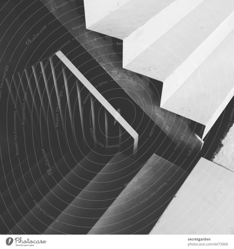 up and down I Black & white photo White Stairs Architecture architectonically architectural photography bare tree Construction site Modern architecture