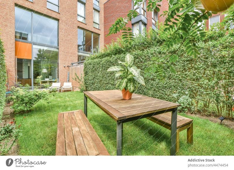 Table with benches in backyard table plant flower lawn courtyard terrace flora potted hedge green grass wooden decor growth vegetate greenery grassy botany