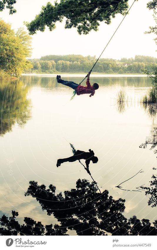 swing low Human being Boy (child) Young man Youth (Young adults) Infancy Body 1 Environment Nature Water Summer Beautiful weather Tree Leaf Treetop Lakeside
