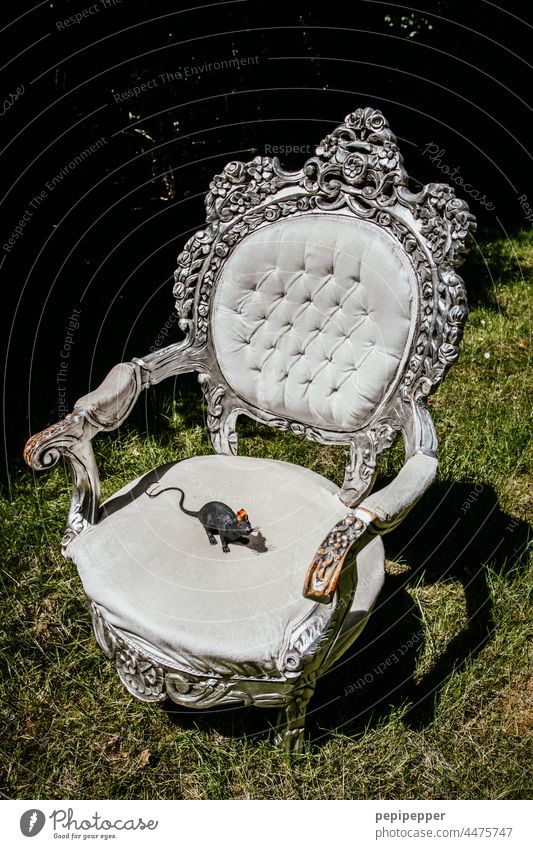 Pompous, baroque chair on which sits a plastic rat pompous Baroque Chair Silver Rat Colour photo Rodent Royal royal Mammal Animal portrait Deserted