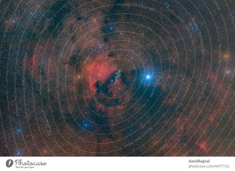 Bright stars, the Milky Way, and nebulae in the constellation cygnus photographed from Mannheim. north america nebula pelican nebula emission nebula swan deneb