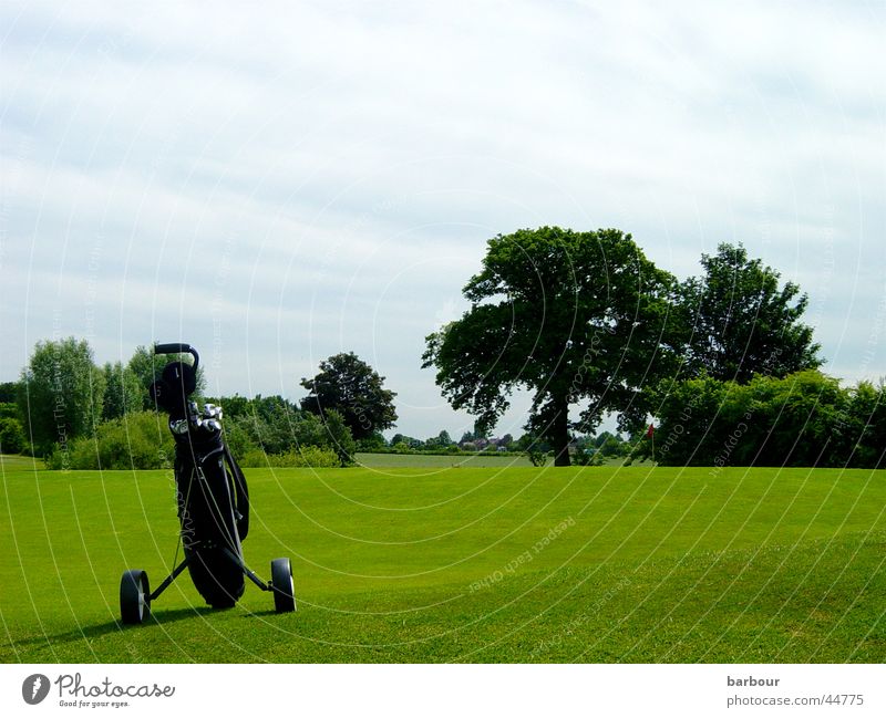 golf idyll Golf bag Green Tree Golf course Clouds Sports
