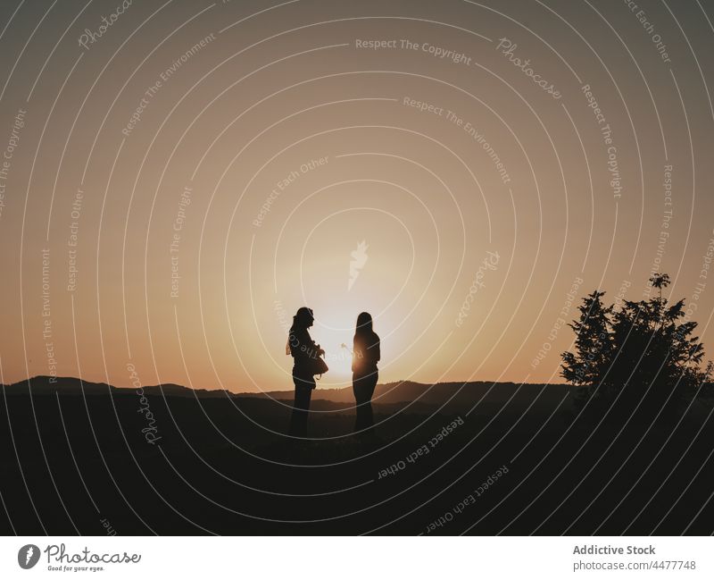 Silhouettes of a couple at sunset woman nature shadow dark valentine silhouette meadow content positive peaceful serene countryside lifestyle carefree romantic
