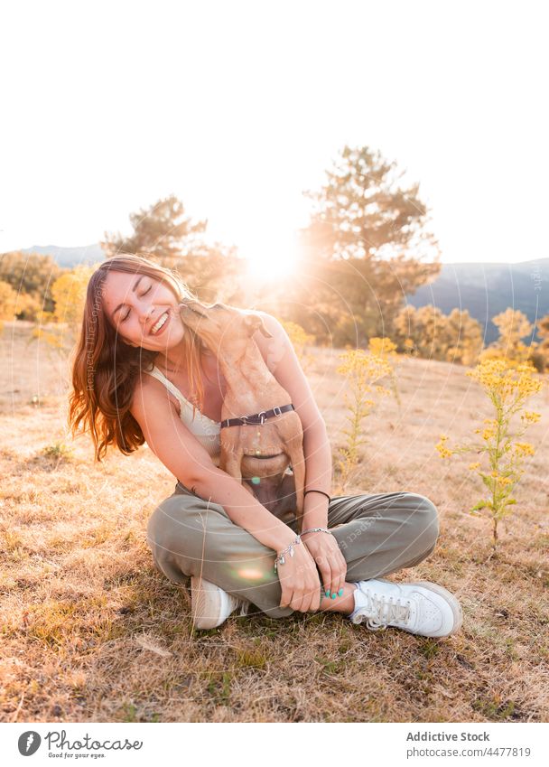 Woman with playful dog in mountains woman lick face cheerful traveler together smile highland female galicia spain puppy pet sunset meadow freedom adventure