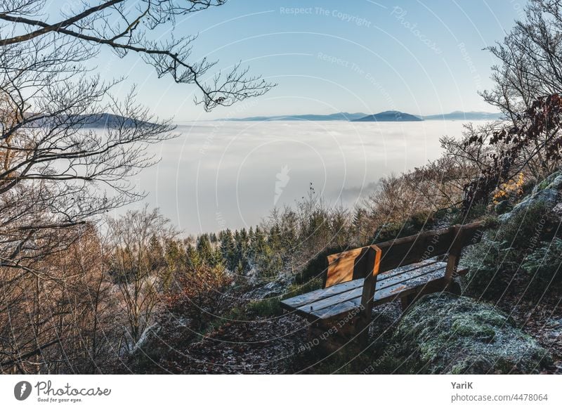 winter fog High fog Fog Winter Winter mood Frost chill icily freezing cold Bench outlook Nature Landscape Patch of fog wafts of mist Bavaria Forest trees