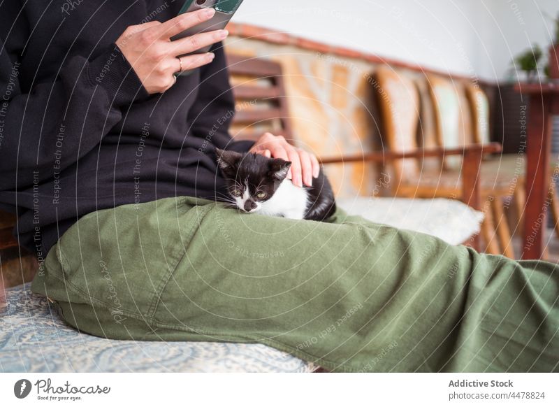 Anonymous Asian woman with kitten taking selfie on smartphone moment memory caress bench using gadget owner interact self portrait cellphone device feline