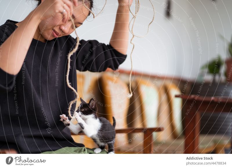 Crop Asian owner playing with kitten at home kitty feline animal pet having fun rope woman house hind legs active playful enjoy energy charming interact asian