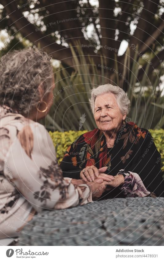 Elderly women talking in garden senior retire friend aged meeting old smile pensioner happy relax lifestyle backyard tropical terrace listen summer rest exotic