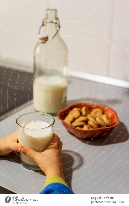 Child's hands grabbing a glass glass with milk next to a jar with cookies and a bottle on the kitchen counter. breakfast child food drink healthy sweet beverage