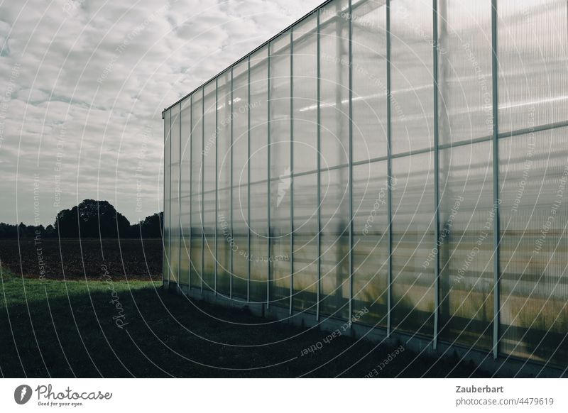 Reflecting glass facade of greenhouse in front of grey sky with cloud streaks Facade Glass mirroring Greenhouse Clouds Stripe cloud strips reflection Reflection