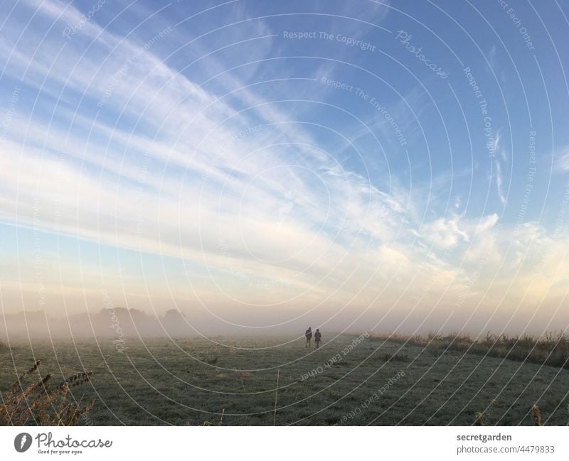 [Teufelsmoor 2021] In the maelstrom of time Fog chill Meadow Tuft of grass Grass hazy Clouds Sky Shroud of fog Moody Sea of fog Cold Delicate Environment