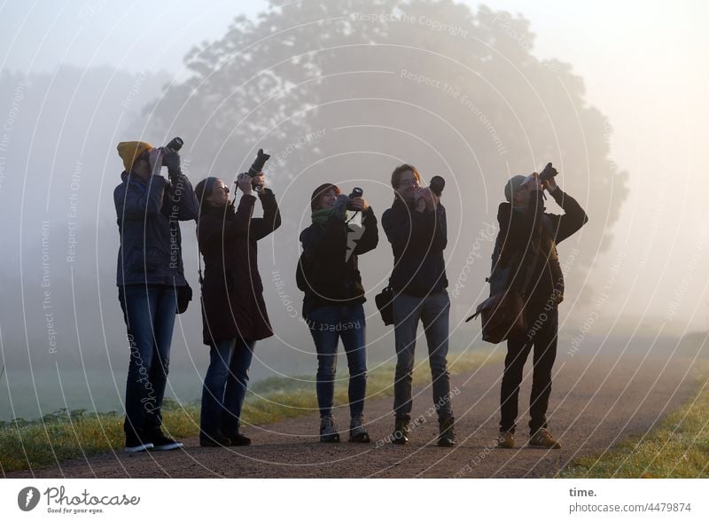 UT Teufelsmoor | Flight Motif group Take a photo Fog Tree in the morning in common In transit user meeting Stand Focus on Observe Synchronous