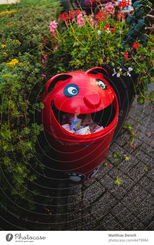 garbage chutes Trash Trash container rubbish bin Face grimace Laughter Ice-cream parlor Exterior shot Recycling Waste management Environmental protection