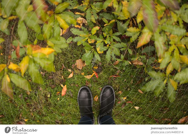 Boots on grass in front of foliage Footwear Autumn Autumnal Green (Green) Nature Forest Downward Autumn leaves Early fall Seasons Transience autumn mood