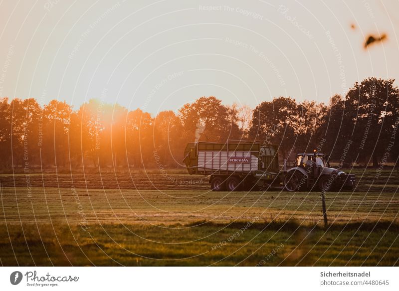 Tractor with loader wagon at sunset Loading wagon Agriculture Field Harvest Landscape Exterior shot Meadow Machinery Colour photo Sunset Back-light Sunlight