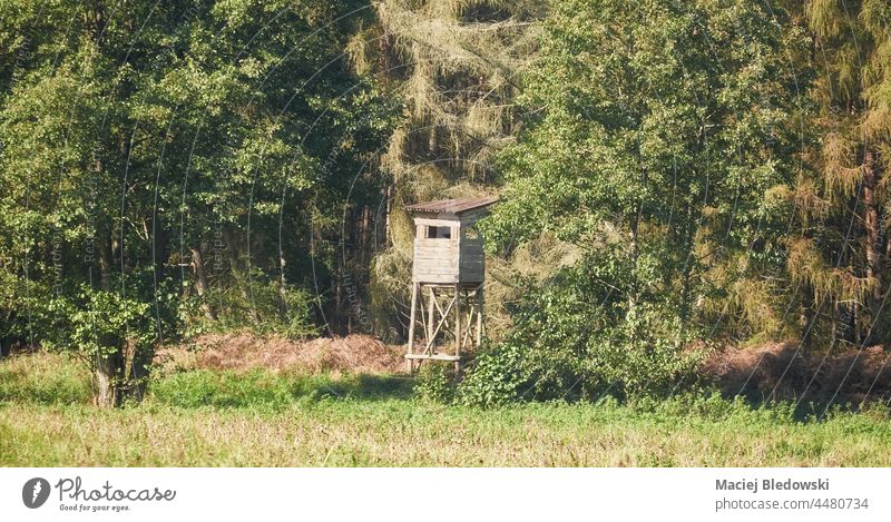 Deer hunting tower by a forest, selective focus. platform stand deer field pulpit hideout lookout nature wood outdoor green grass landscape wooden