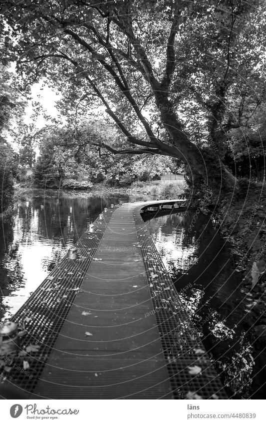 UT Teufelsmoor l Bridge Footbridge Crossing Water Lanes & trails Black & white photo Deserted Tree Bremen Exterior shot Connection