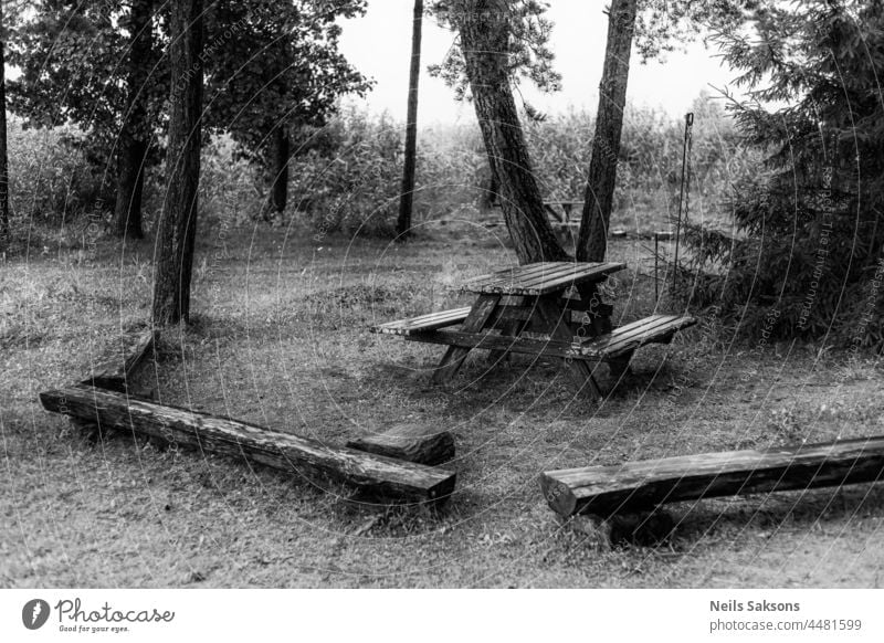 benches and table in rest place in Latvia forest near forest road. Made of timber wooden boards. autumn background beautiful black and white botany branch