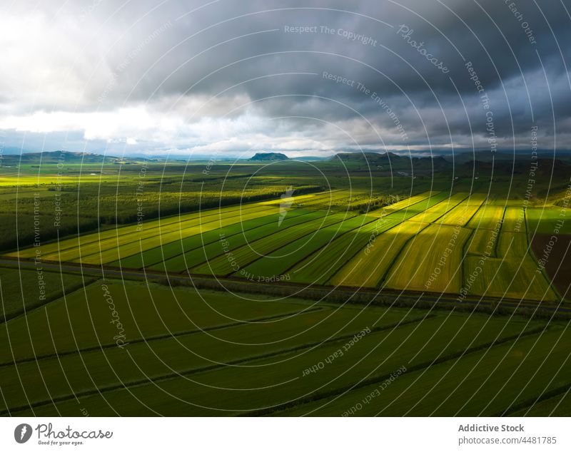 Agricultural fields under cloudy sky agriculture plantation cultivate countryside farmland overcast landscape agronomy vegetate iceland nature growth green