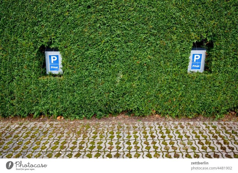 Parking space (private) Parking lot sign Road sign parking sign privilege Reserved car Motor vehicle Hedge neighbourhood Neighbor Screening sealing Street
