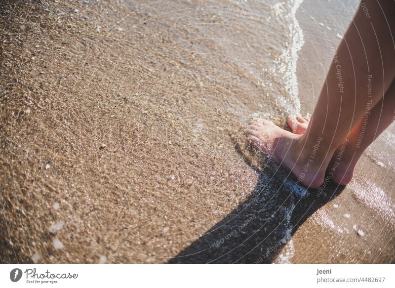 barefoot on the beach Barefoot Feet feet Toes Legs Human being Skin Naked Beach Sand Water Ocean Wet Refreshment Sun Summer Sandy beach Stand Waves vacation