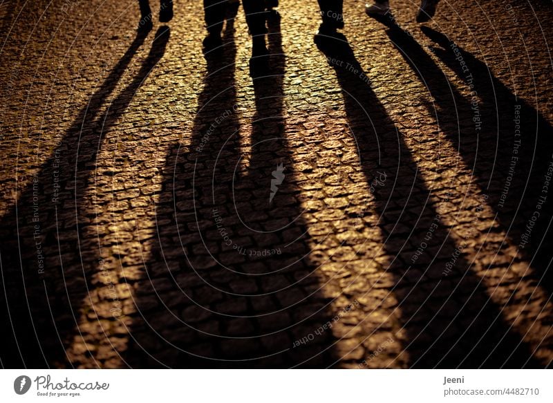 Long friendships people five Lifestyle Happy Together Street Going youthful Friendship Sunlight Shadow Summer evening Attachment Emotions sensation Cobblestones