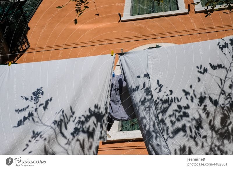 Leaves shadow play on hanging white linen Venice Laundry clothesline Clothes peg Household Washing Housekeeping Clothing Hang Fresh everyday life Life