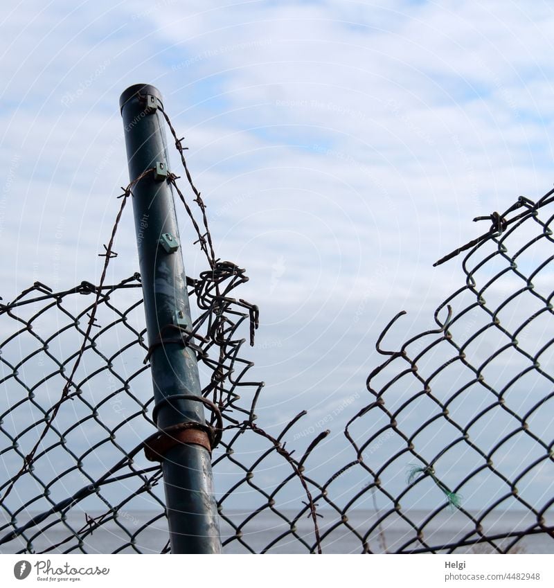 broken - destroyed wire mesh fence with metal pole and barbed wire in front of blue sky with clouds Fence Chain link fence Barbed wire stake Metal Broken
