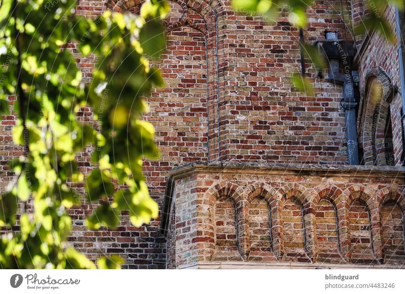 What a lovely maiden the young man here in bygone days would have wanted to free her heart for Balcony Historic Old brick Belgium Brugge Tree Blägtter Summer