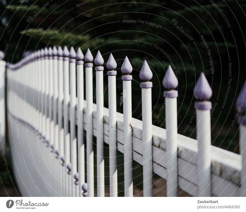 Garden fence with purple tips forms arch Fence White Arch sharpen lock Border Goal Garden door Barrier Protection Safety