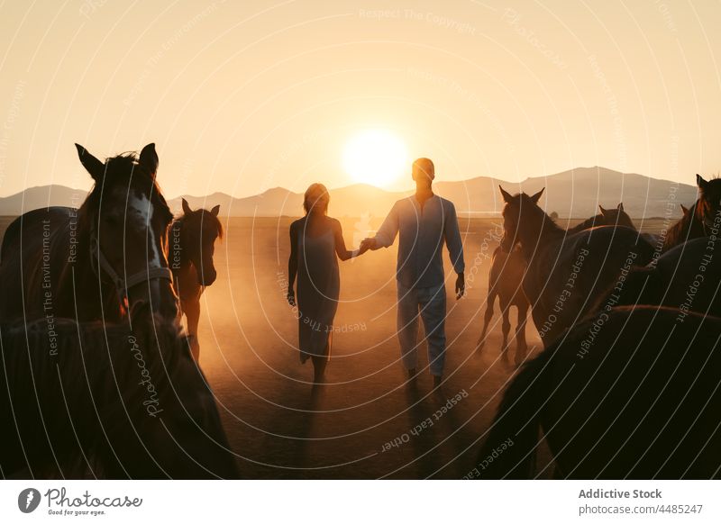 Couple walking on field together near horses at sunset couple holding hands stroll countryside bonding affection fondness relationship animal idyllic nature