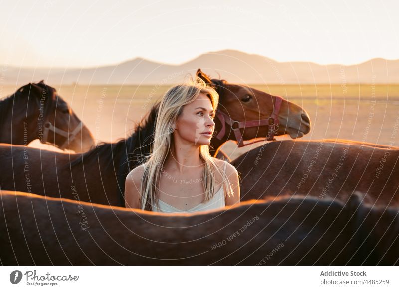 Female among horses in countryside woman animal herd nature field mountain summer livestock blond lifestyle mammal pasture turkey female equine rural natural