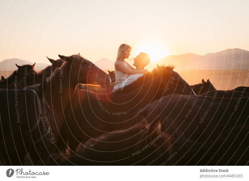 Man raising woman among horses in sundown silhouette couple countryside field relationship affection together love sunset hill boyfriend idyllic romance bonding