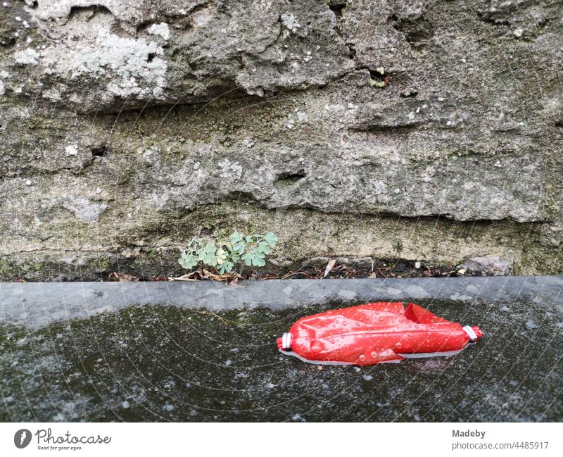 Empty red sausage pellet in the rain on the pavement in front of grey porous stone with weeds in the old town of Oerlinghausen near Bielefeld on the Hermannsweg in the Teutoburg Forest in East Westphalia-Lippe