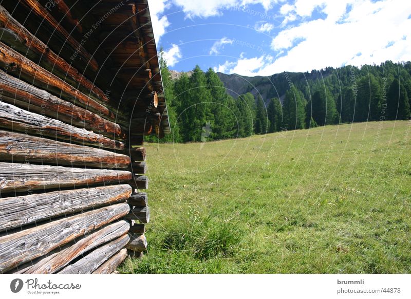 Alpine pasture management II Wood Wooden house Mountain meadow Barn Hayrick Meadow Dolomites Summer Summer's day Vacation & Travel Relaxation Wood flour
