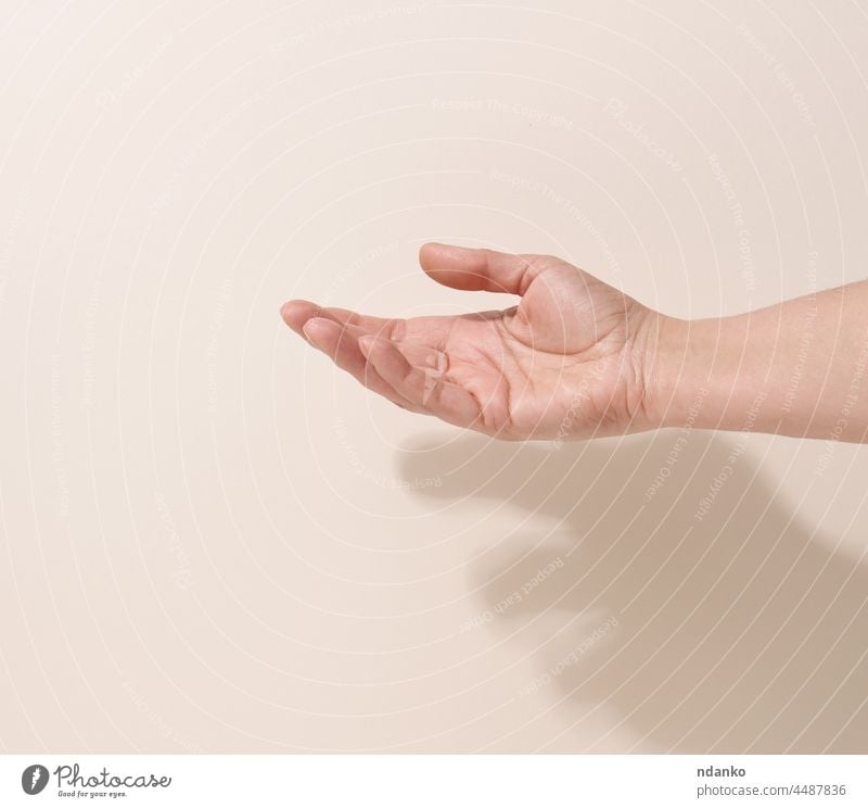 female teen hand to hold something on a beige background. Advertising and product promotion finger person empty white woman gesture palm concept arm showing