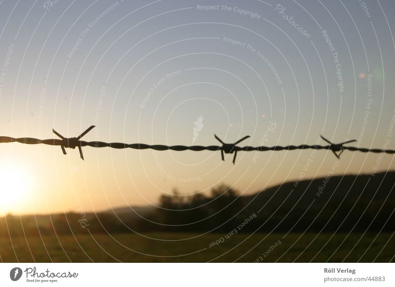 barbed wire fence Twilight Evening Thorn box wire fence Landscape