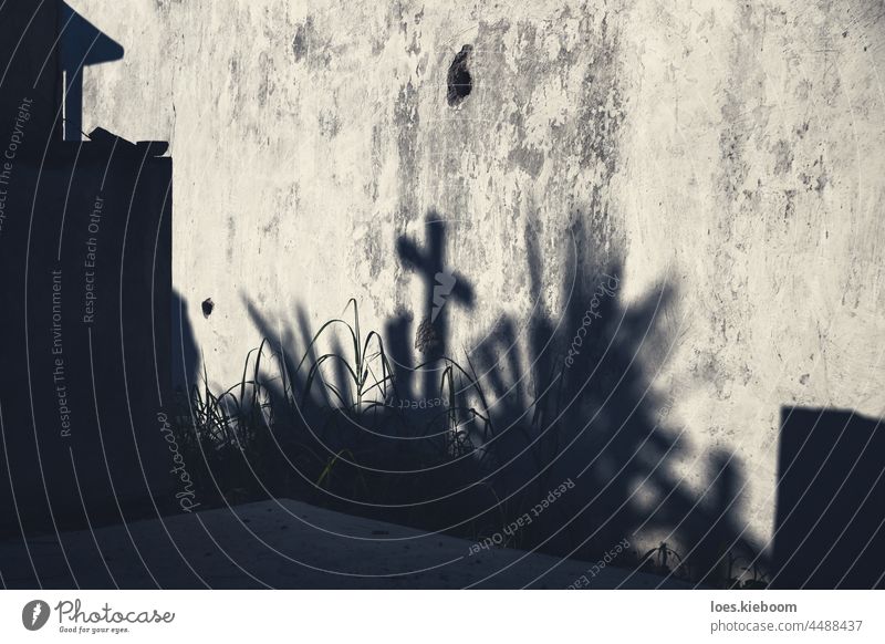 Spooky moonlight shadows on a cementery as concept background for Halloween halloween cemetery spooky dark horror cross graveyard grunge tomb scary abstract