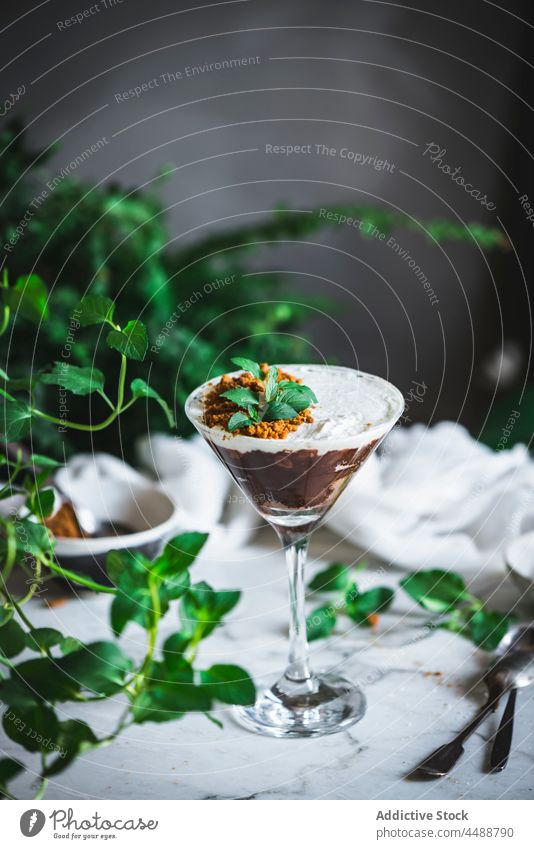 Tasty chocolate and coconut mousse dessert sweet treat glass delicious mint garnish leaf yummy gourmet fresh tasty portion food serve table green plant