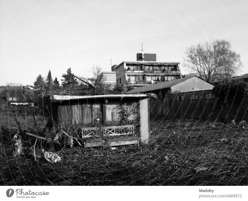 Ales dilapidated summer house shortly before demolition in a former allotment garden on building land to be developed in Lage near Detmold in East Westphalia-Lippe, photographed in neo-realistic black and white