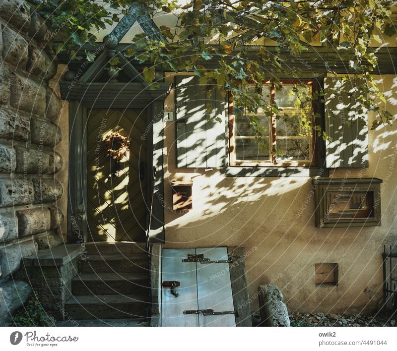 house entrance House (Residential Structure) Facade Old Historic door Stairs Window display Shade of a tree Sunlight Shaft of light Wall (barrier) trapdoor