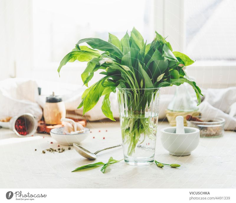 Wild garlic bunch in glass at kitchen table with mortar and pestle, bowls, spices and spoon at window background with natural light. Harvested seasonal herbs. Front view.