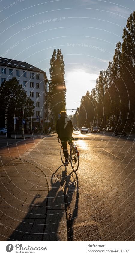 Bicyclist on street in big city backlit Bicycle Wheel Driving cyclists Back-light urban cross Transport Traffic infrastructure Cycling Street Sports Speed
