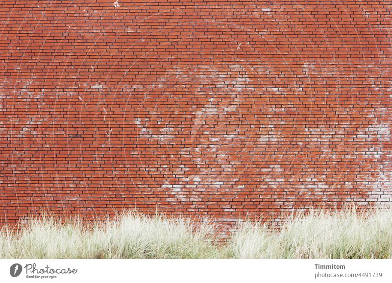 Brick facade with grass decoration Facade Grass Marram grass Denmark Wall (building) Wall (barrier) Brick wall Exterior shot Red Green Building