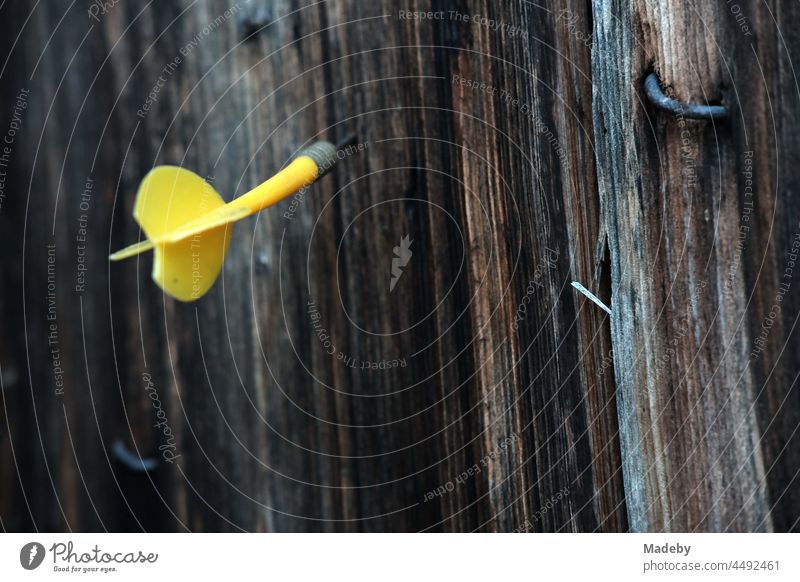 Yellow dart made of plastic in the brown wood of an old barn on a farm in Rudersau near Rottenbuch in the district of Weilheim-Schonhau in Upper Bavaria Arrow