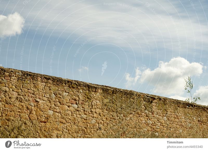 The Great Wall. Blue sky and clouds. Thoughts are free. Wall (barrier) stones Sky Clouds Smooth Tree Hope Ease narrow Boundary White Exterior shot