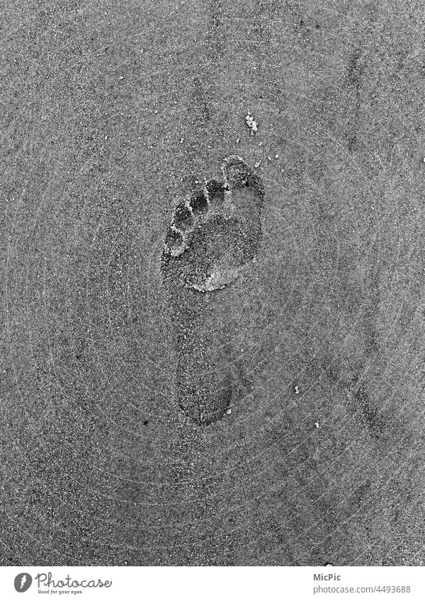 Footprint in the sand Traces in the sand leave sb./sth. traces in the sand Barefoot barefoot beach leave traces Sand Beach Imprint footprint Black & white photo