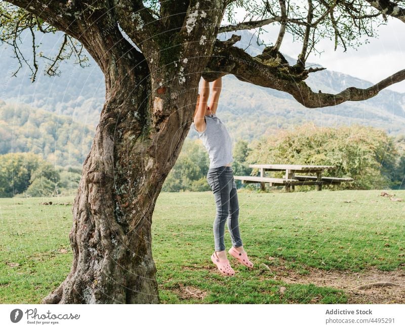 Unrecognizable boy hanging on tree branch kid countryside childhood active pastime dangerous leisure rural plant summer flora recreation table wooden mountain