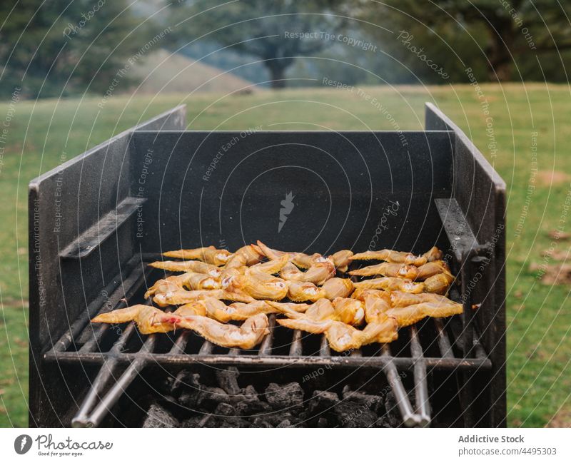 Chicken wings roasted on grill chicken meat poultry barbecue grate field raw countryside charcoal bbq food tasty summer delicious picnic yummy fresh hot various
